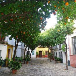 Casco Antiguo-santa Cruz, Costa Blanca Photo #3 by Jose A. from flickr