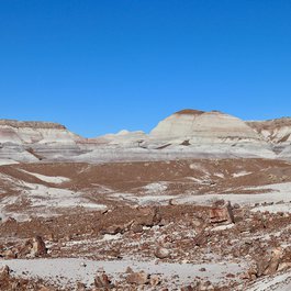 Blue Mesa, Petrified Forest National Park Photo #8 by daveynin from flickr