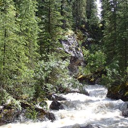 Miette Hotsprings, Jasper Photo #6 by Suzanne Schroeter from flickr