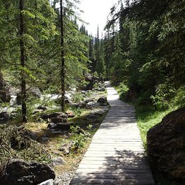 Miette Hotsprings, Jasper Photo #8 by Suzanne Schroeter from flickr