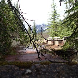 Miette Hotsprings, Jasper Photo #7 by Suzanne Schroeter from flickr