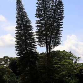 Karen Blixen Museum, Nairobi Photo #2 by Guillaume Baviere from flickr