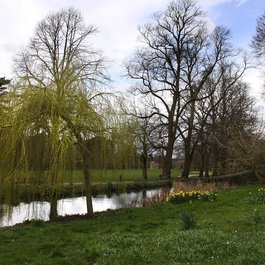 Bute Park, Bristol Photo #2 by Ben Salter from flickr