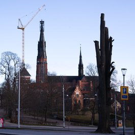 Carolina Rediviva, Uppsala Photo #3 by Stephan Buchert from flickr
