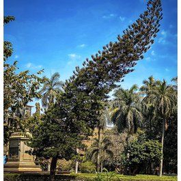 Chhatrapati Shivaji Maharaj Vastu Sangrahalaya, Mumbai Photo #4 by aiva. from flickr