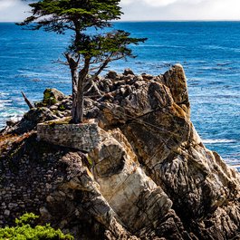 Lone Cypress, Monterey Photo #4 by Charlie Day from flickr