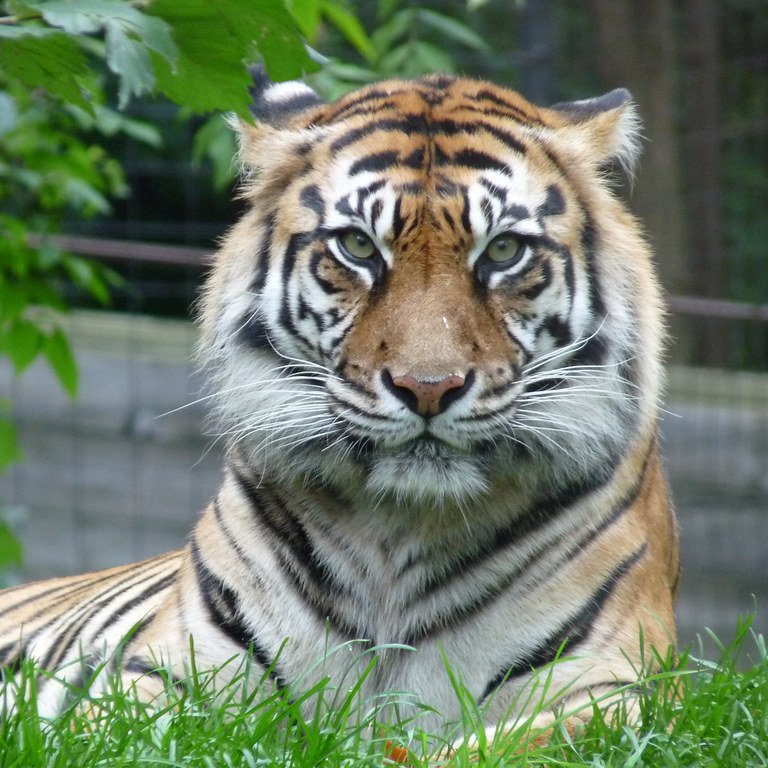 Toronto Zoo, Toronto