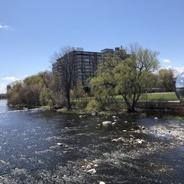 Strathcona Park, Ottawa Photo #2 by Ross Dunn from flickr
