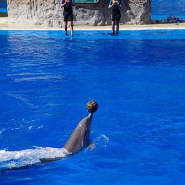 Palmitos Park, Las Palmas De Gran Canaria Photo #7 by Jan Helebrant from flickr
