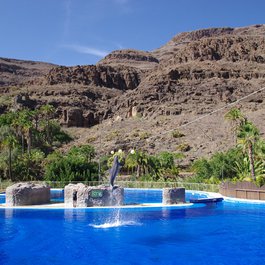 Palmitos Park, Las Palmas De Gran Canaria Photo #8 by Jan Helebrant from flickr
