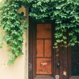 Green, Lviv Photo #3 by Mykyta Nikiforov from flickr