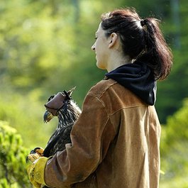 Alaska Raptor Center, Sitka Photo #9 by GeorgeB-Sitka from flickr