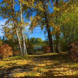 Bowness Park, Calgary Photo #3 by FancyLady from flickr