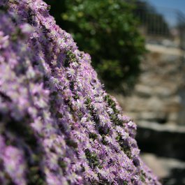Bondi Beach, Sydney Photo #8 by Phil Morgan from flickr