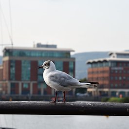 Titanic Belfast, Belfast Photo #9 by Conall from flickr