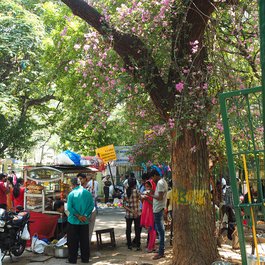 Cubbon Park, Bangalore Photo #9 by RykJ from flickr