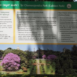 Cubbon Park, Bangalore Photo #4 by RykJ from flickr