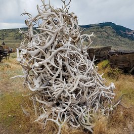 Old Trail Town, Cody Photo #4 by HarshLight from flickr