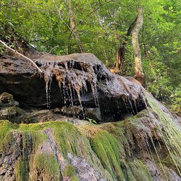 Weeping Rock, Zion National Park Photo #5 by daveynin from flickr