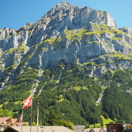 Grindelwald, Interlaken Photo #2 by Dmitry Djouce from flickr