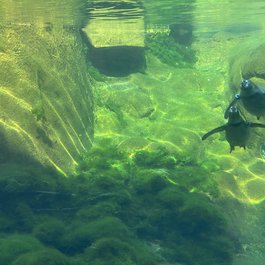 Rosamond Gifford Zoo, Syracuse Photo #5 by MattCC716 from flickr