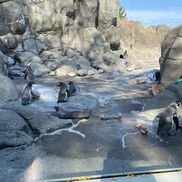 Rosamond Gifford Zoo, Syracuse Photo #8 by MattCC716 from flickr