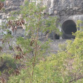 Aurangabad Caves, Aurangabad Photo #8 by Dinesh Valke from flickr