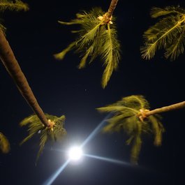 Tamarindo, Liberia Photo #2 by Rômulo Gama Ferreira from flickr