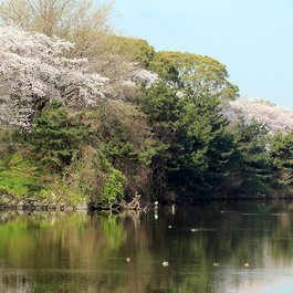 Fukuoka itinerary, Ohori Park