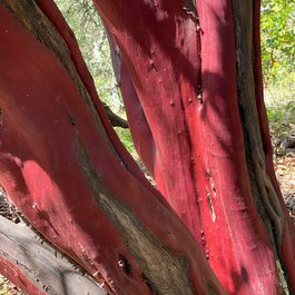 Manzanita, Oregon Photo #2 by Dana L. Brown from flickr