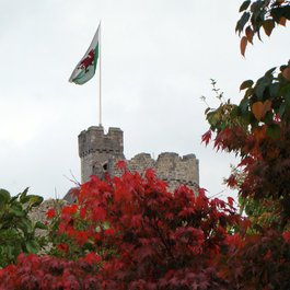 Bute Park, Bristol Photo #9 by Jon Candy from flickr