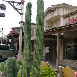 Old Town Scottsdale, Scottsdale Photo #9 by marada from flickr