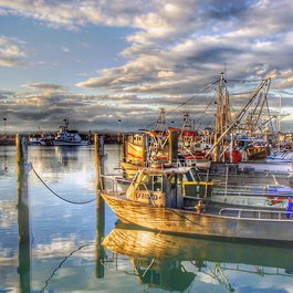 Port Stephens, New South Wales Photo #5 by Bernard Spragg. NZ from flickr