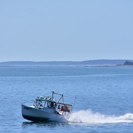 Mount Desert Island, Acadia National Park Photo #5 by pedrik from flickr