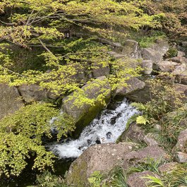 Tokugawa, Nagoya Photo #6 by Kanesue from flickr