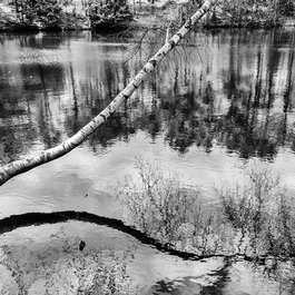 Brunswick, Maine Photo #1 by Paul VanDerWerf from flickr