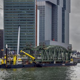 Erasmusbrug, Rotterdam Photo #5 by Frans Berkelaar from flickr