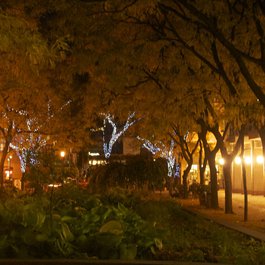 St. Lawrence Market, Toronto Photo #8 by marc falardeau from flickr