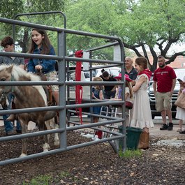 Fort Worth Stockyards, Fort Worth Photo #3 by Alexander Hatley from flickr