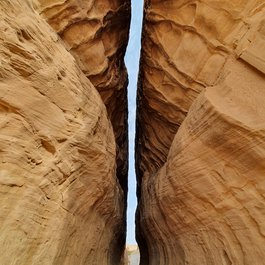 Hegra, Saudi Arabia Photo #4 by Richard Mortel from flickr