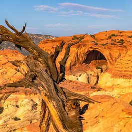 Cassidy Arch, Capitol Reef National Park Photo #3 by Joel Bradford from flickr