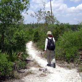 Ocala National Forest, Ocala Photo #2 by Gary Leavens from flickr