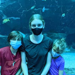 Georgia Aquarium, Atlanta Photo #3 by Larry Syverson from flickr