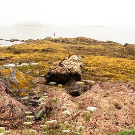 Brunswick, Maine Photo #5 by Paul VanDerWerf from flickr
