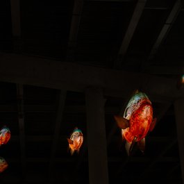 San Antonio Museum Of Art, San Antonio Photo #5 by Corey Leopold from flickr