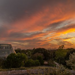 San Antonio Botanical Garden, San Antonio Photo #7 by Corey Leopold from flickr