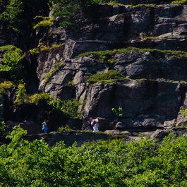 Precipice Trail, Bar Harbor Photo #4 by Craig Stanfill from flickr