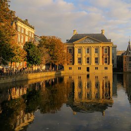 Mauritshuis, The Hague Photo #4 by Fabio Bruna from flickr