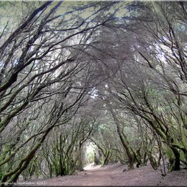 Monteverde, Central Pacific Photo #7 by Jorbasa Fotografie from flickr