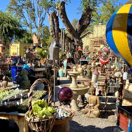 Los Olivos, Santa Barbara Photo #1 by Dan Nevill from flickr